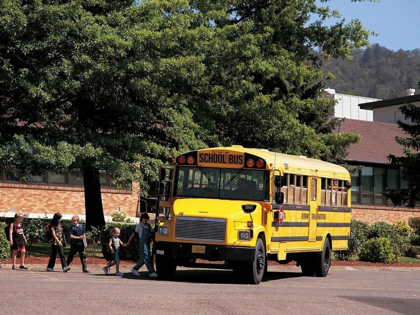 Почему дети в США ездят в школу на школьных автобусах