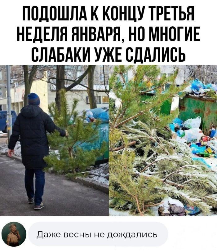 Продолжаем барражировать соцсети