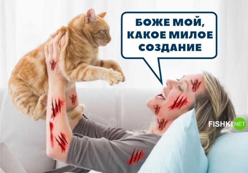 Милое создание