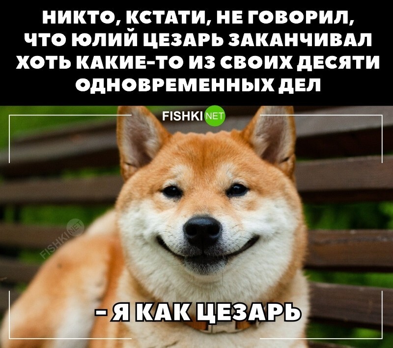 Ставь лайк - если ты цезарь!