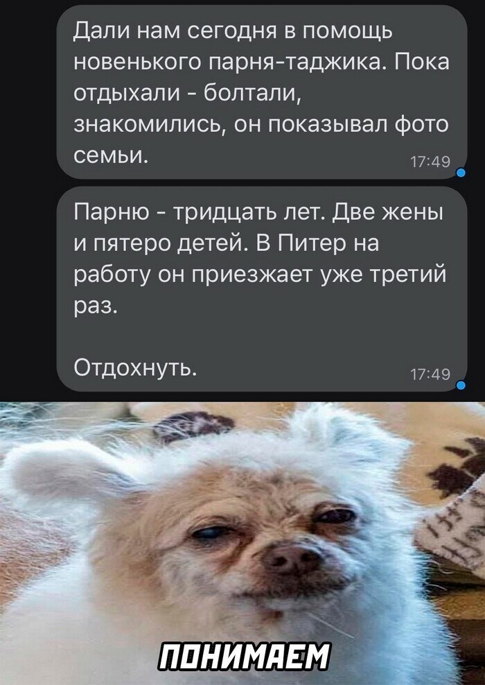 Скрины из соцсетей