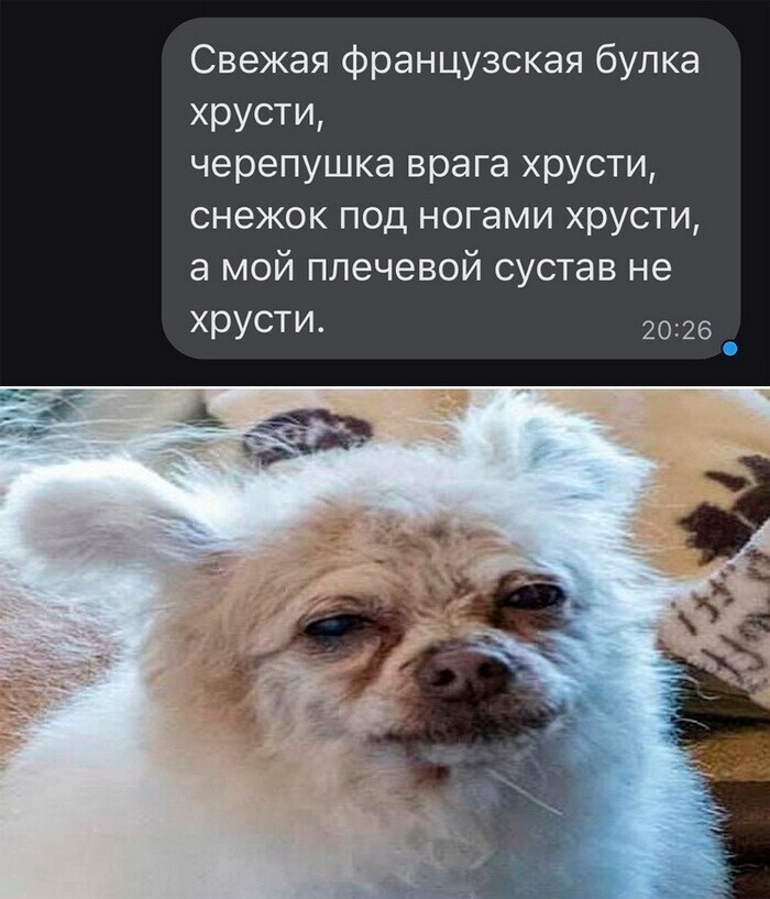 Скрины из соцсетей