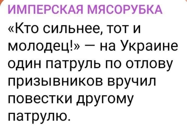 Политические картинки - 2189
