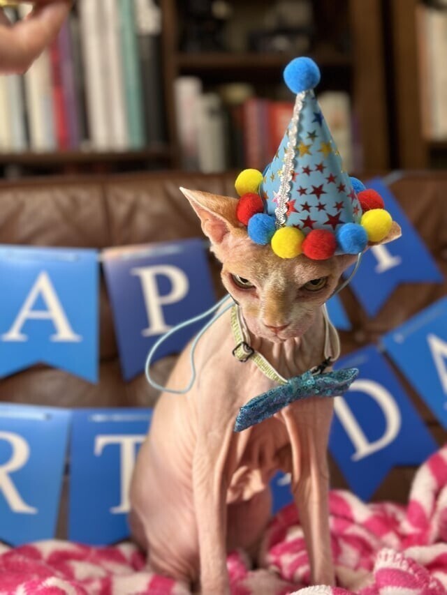 Она не любит свой День рождения