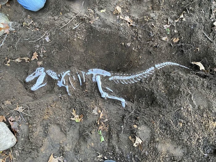 2. "Напечатал метрового тираннозавра и закопал его во дворе, чтобы племяшки нашли его и раскопалия"