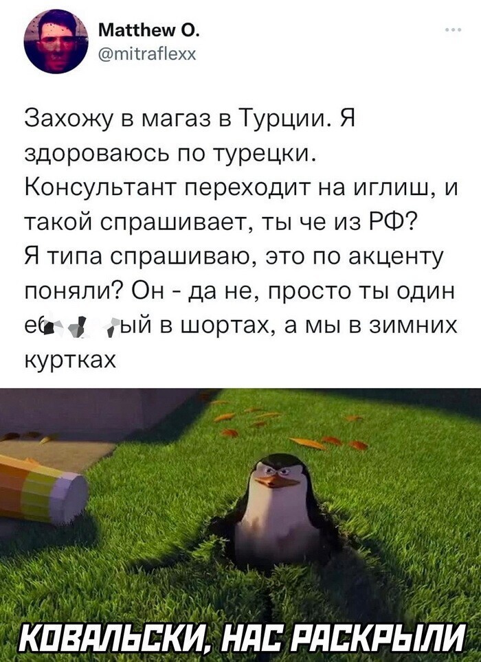 Скрины из соцсетей