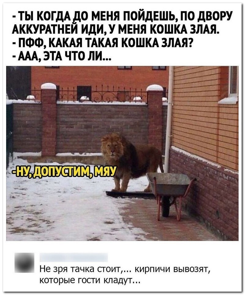 Скрины из соцсетей