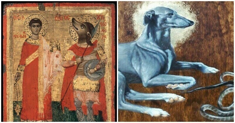 Во Франции поклонялись святой собаке