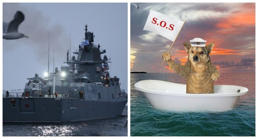 Российские моряки сняли с тонущей яхты француза и собаку