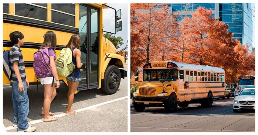 Почему в США школьных автобусов боятся больше, чем полицейских машин