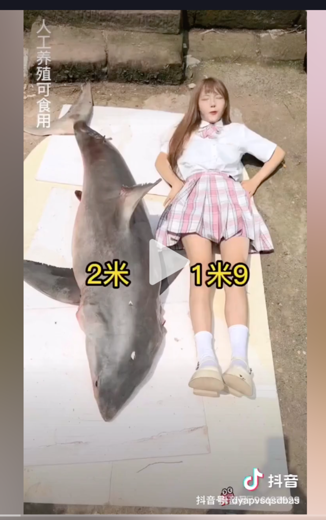 Блогерша из Китая съела акулу и попала на штраф в $18 500