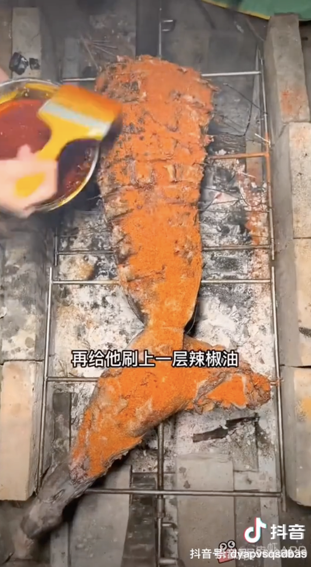 Блогерша из Китая съела акулу и попала на штраф в $18 500