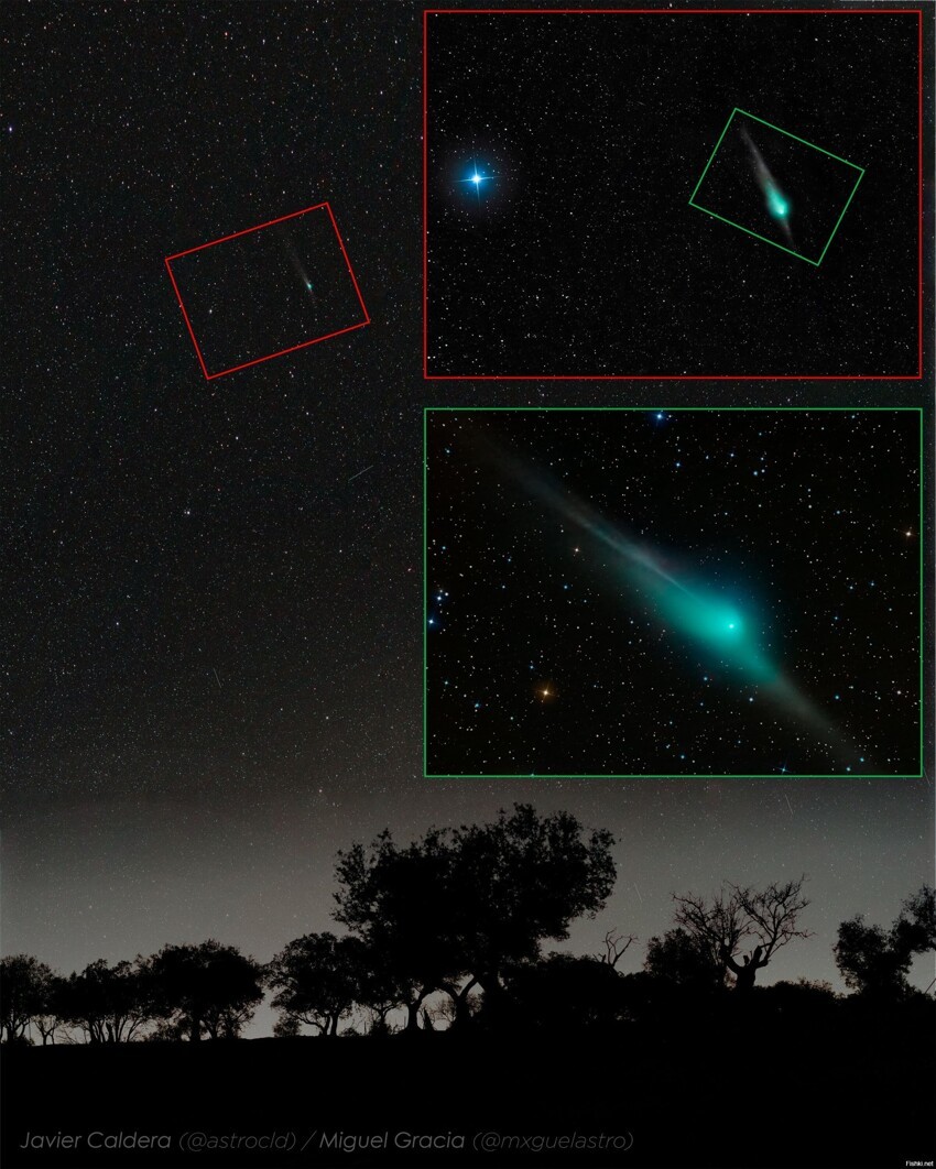 Комета ZTF выделяется своей особенной формой