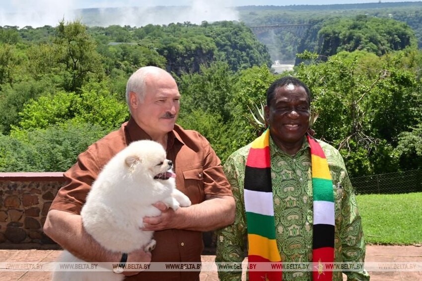 Провожали с козликом. Приключения Лукашенко в Зимбабве