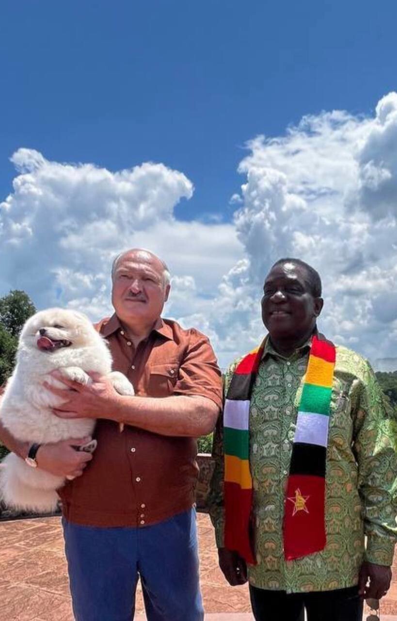 Провожали с козликом. Приключения Лукашенко в Зимбабве
