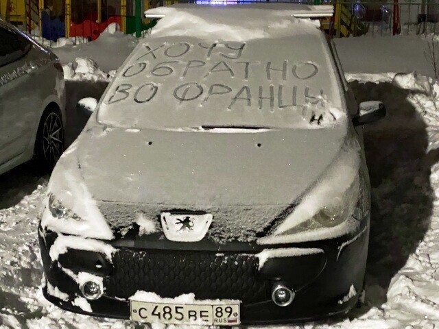 Автовсячина