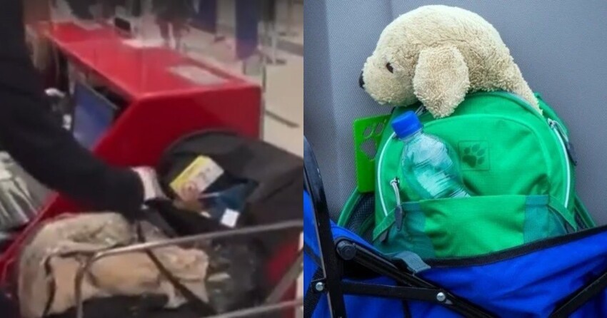 Родители года: бельгийцы отказались покупать билет новорожденному и оставили малыша на стойке регистрации в аэропорту