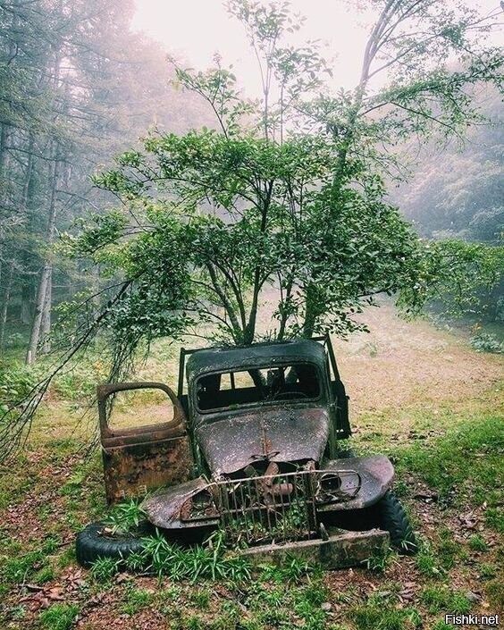 Солянка