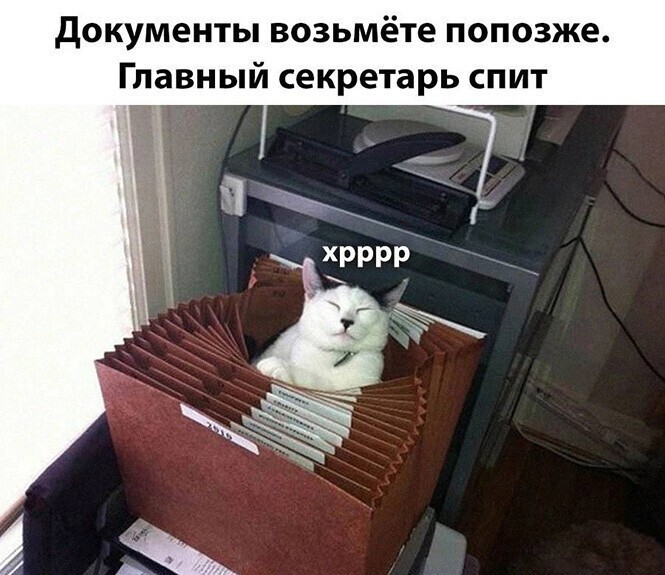 Фотоприколы и прикольные картинки