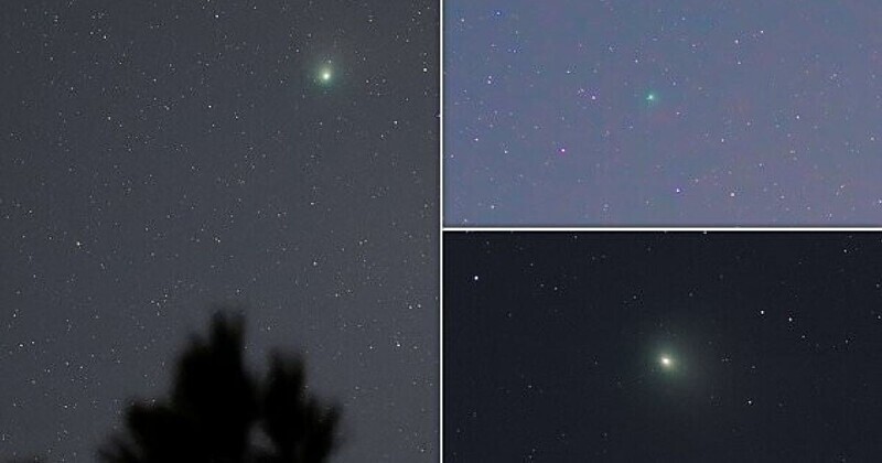 Астрономы-любители делятся снимками редкой зелёной кометы