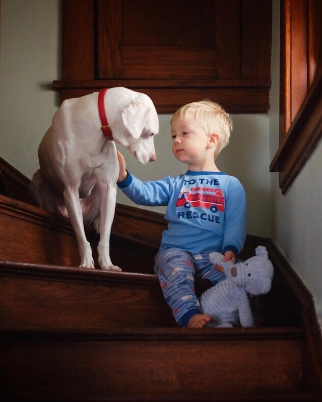 Добрый пост о дружбе собаки и ребёнка