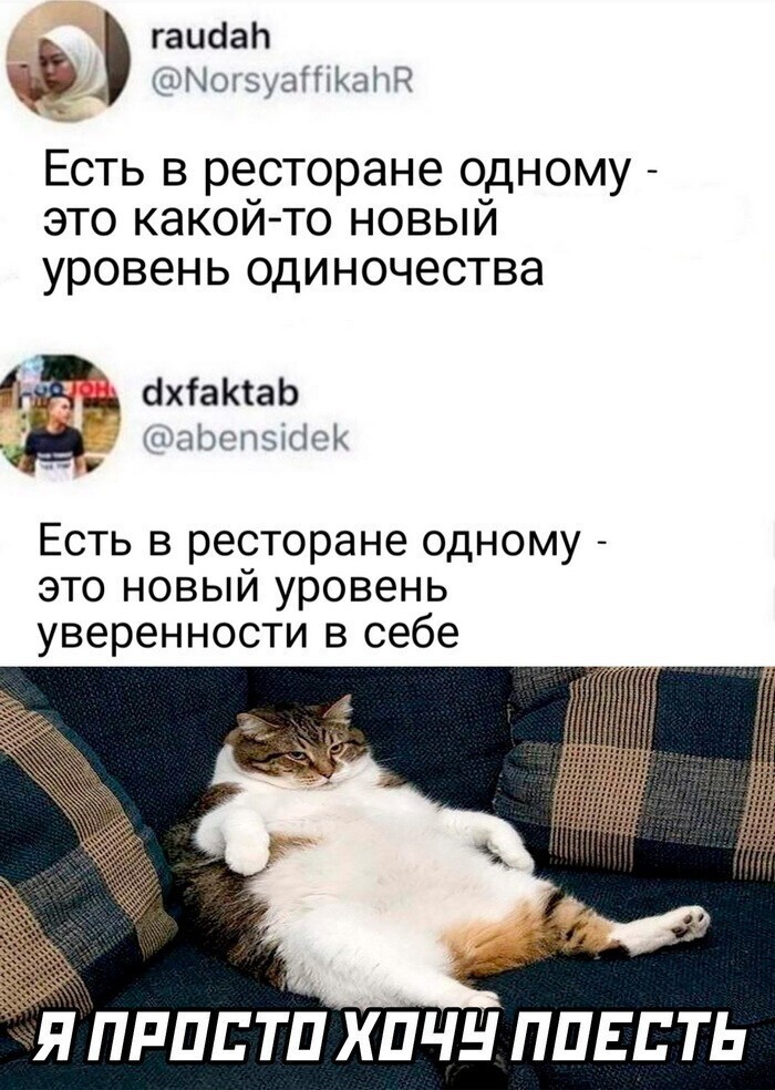 Скрины из соцсетей