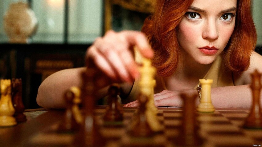 Шахматистки - идеальные женщины