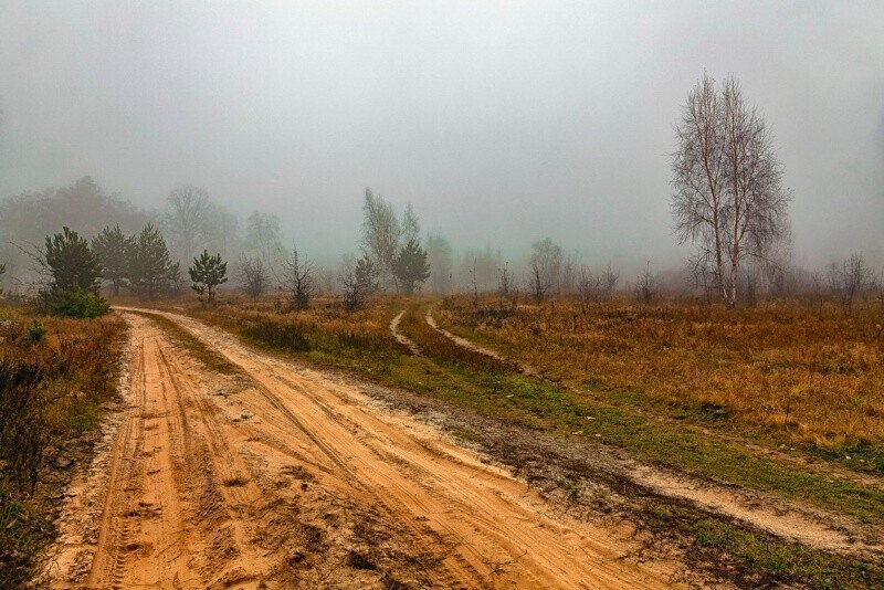 Немного нуара в ленту