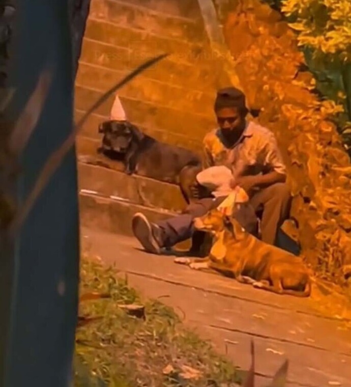 12. "Бездомного сняли на камеру. Он устроил праздничный обед для уличных собак. Видео стало вирусным и теперь этому человеку помогают люди со всего мира"