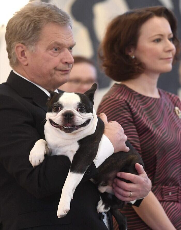 27. Президент Финляндии и его пёс Ленну