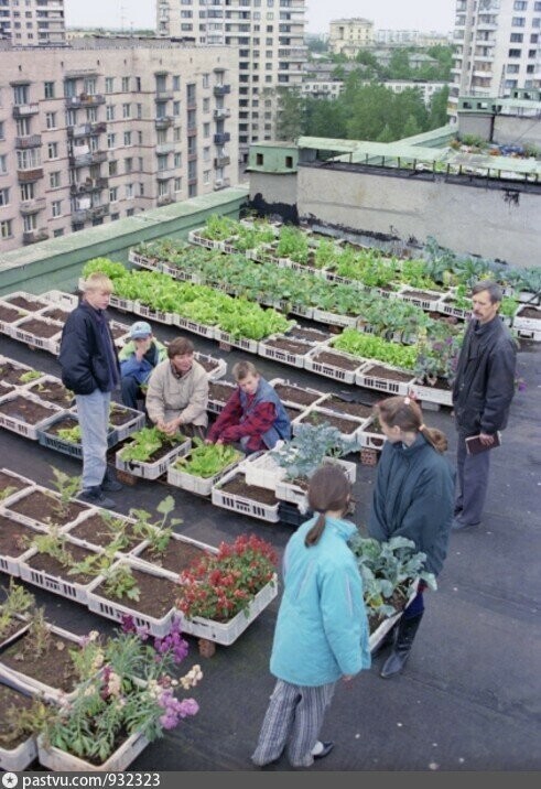Огород на крыше, Санкт-Петербург, 1997 год.