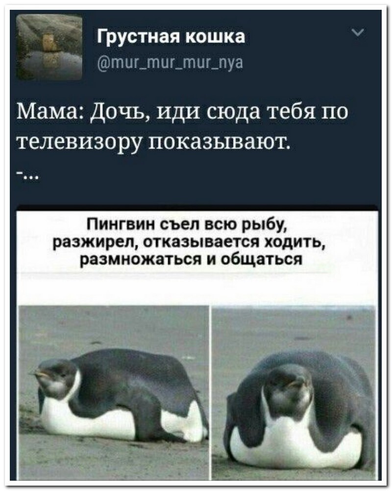 Скрины из соцсетей