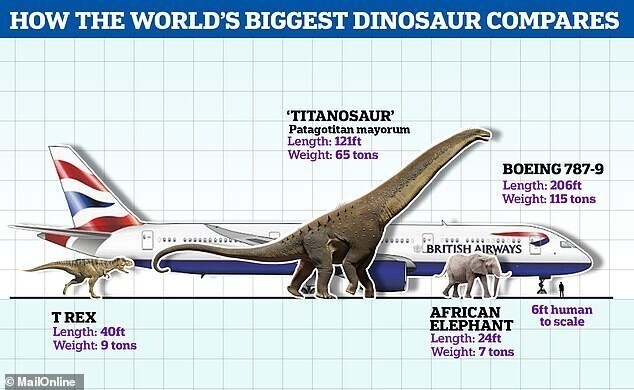 Сравнение титанозавра с тираннозавром, африканским слоном и "Боингом-787-9". Фигура человека на картинке — для масштаба