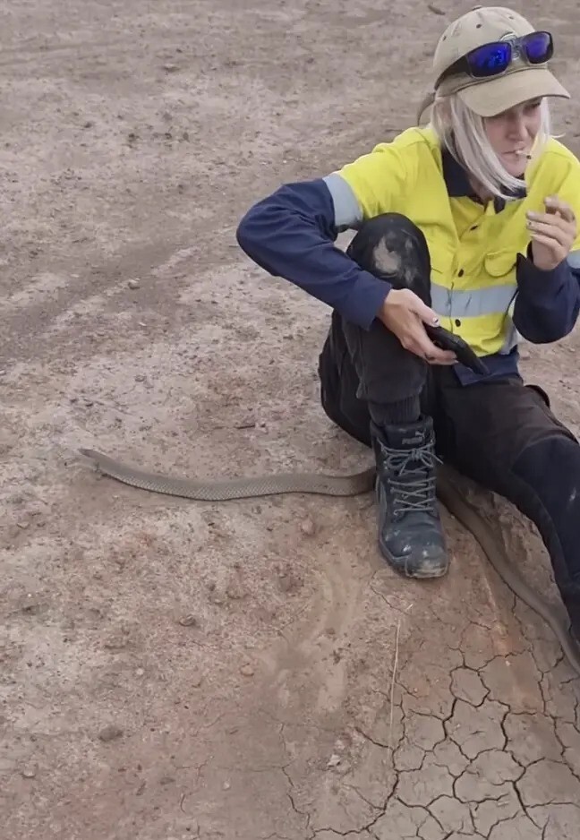 Австралийка спокойно продолжила перекур, когда к ней приползла змея