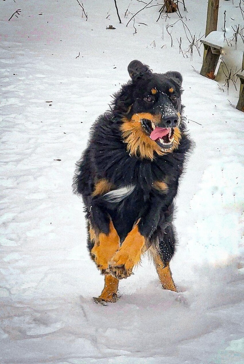 С добрым утром!