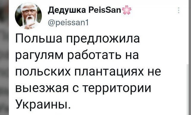 О политике и не только