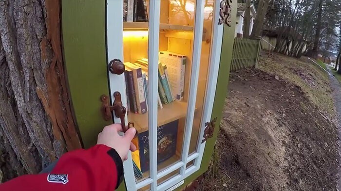 Женщина сделала библиотеку в стволе старого тополя