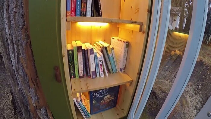 Женщина сделала библиотеку в стволе старого тополя