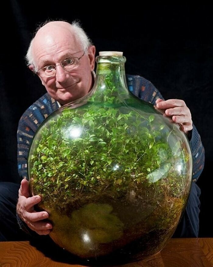 4. В 1960 году Дэвид Латимер посадил сад внутри гигантской бутылки и запечатал ее
