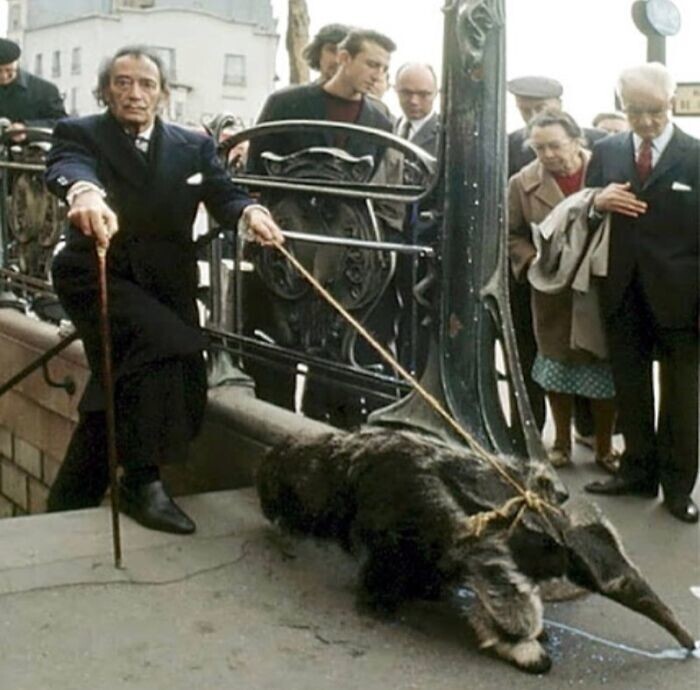 25. Сальвадор Дали выходит из парижского метро со своим муравьедом, ​​1969 год