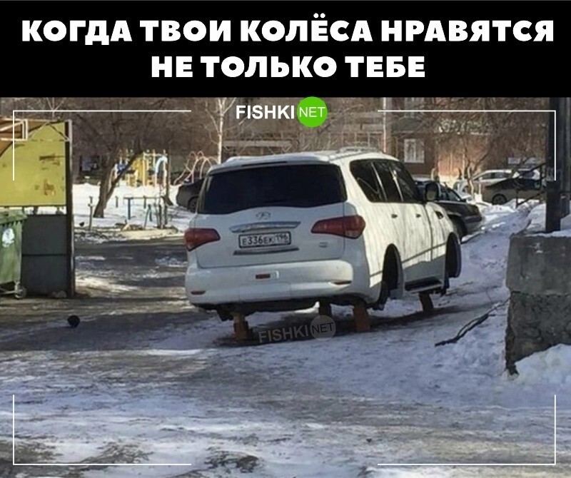 Когда твои колеса нравятся не только тебе