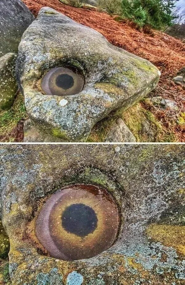 Похоже на рыбий глаз - а это просто камень