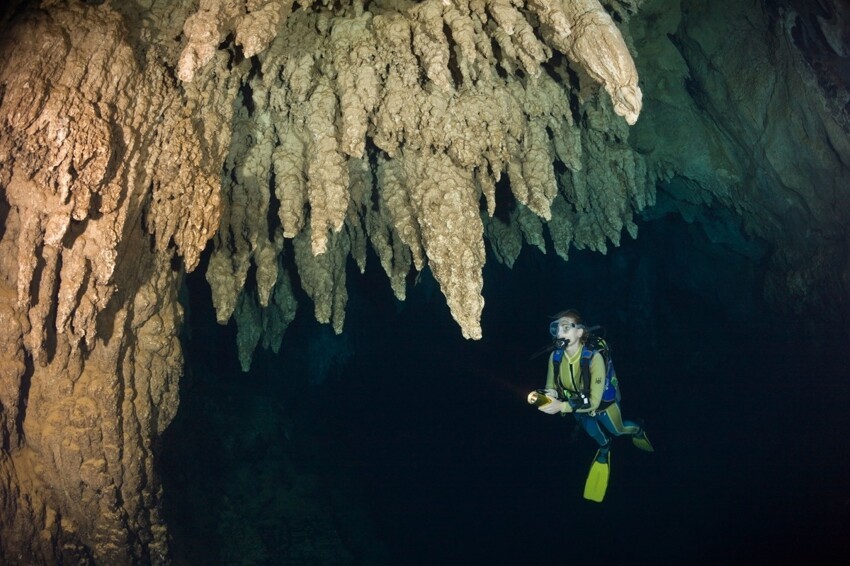 10. Это фото из Пещеры канделябров в Палау, один взгляд на которое может вызвать клаустрофобию.