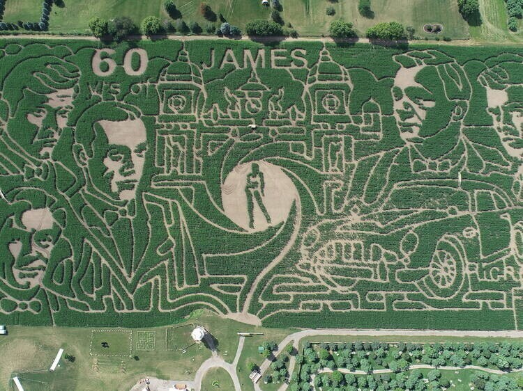 Кукурузный лабиринт 11,33 гектара в Иллинойсе, США, отмечает 60-летие Джеймса Бонда