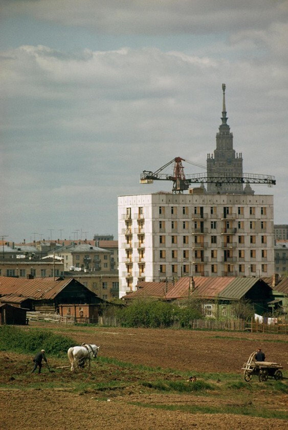  Жители села Семёновское упорно трудятся на окраине Москвы. СССР, 1965 год. Фотограф Дин Конгер