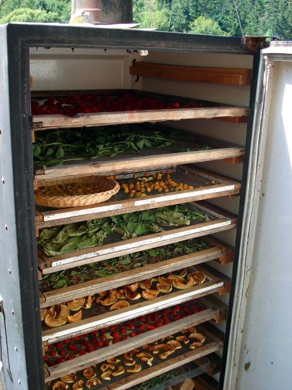 10. Подходит старый холодильник и для сушки фруктов и овощей