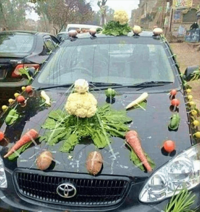 2. Свадьба у вегетарианцев 