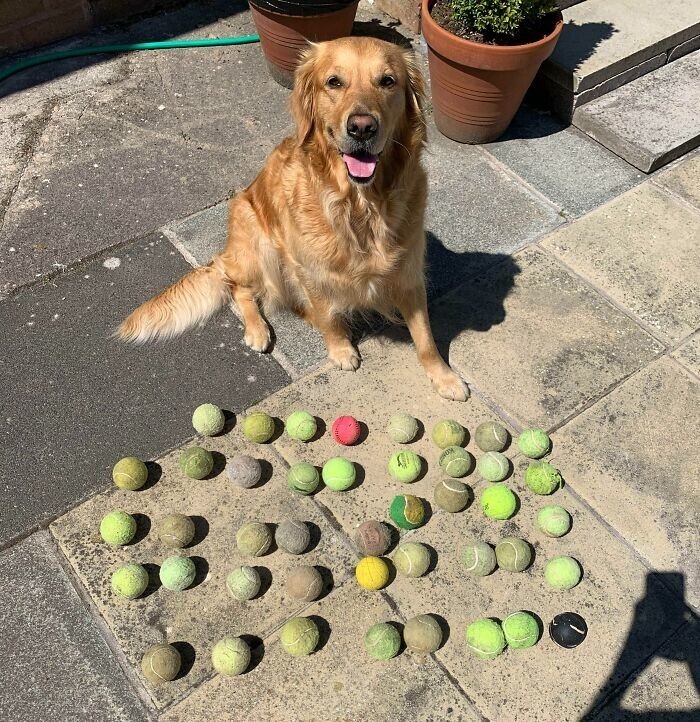 Коллекция мячиков