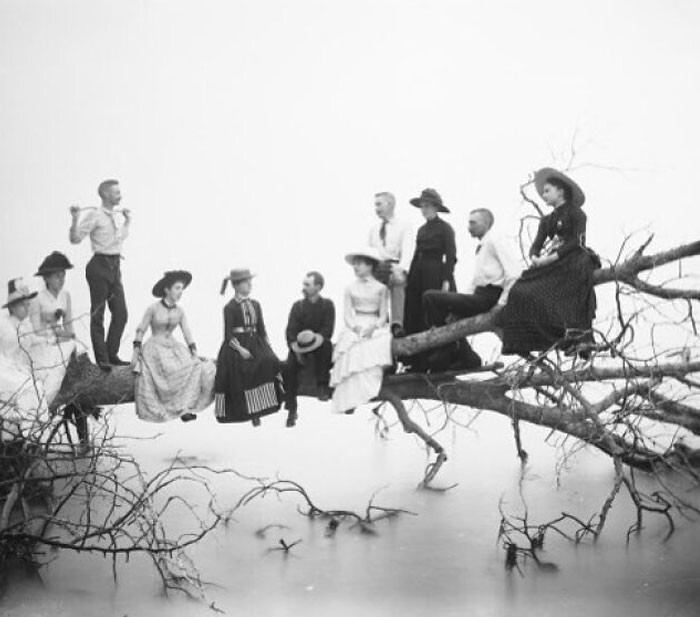 19. "Черные дрозды", фото Луи Мильтона Тьера, 1910 год