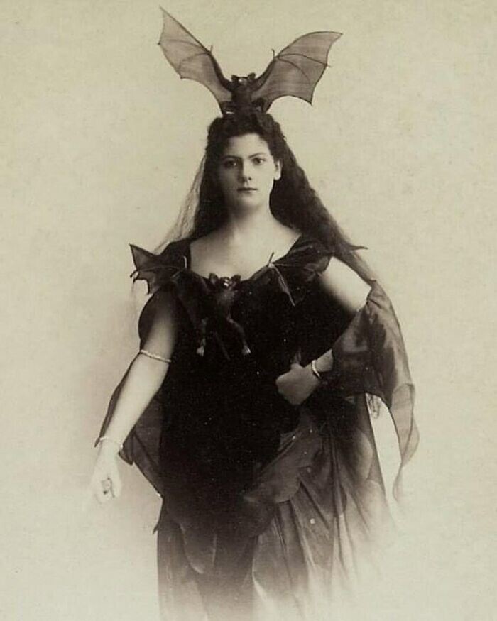 18. Портрет викторианской "Бэтвумен", Мари Шляйнцер. Вена, 1890 год.